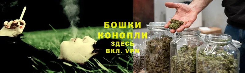 Шишки марихуана SATIVA & INDICA  Зеленоградск 